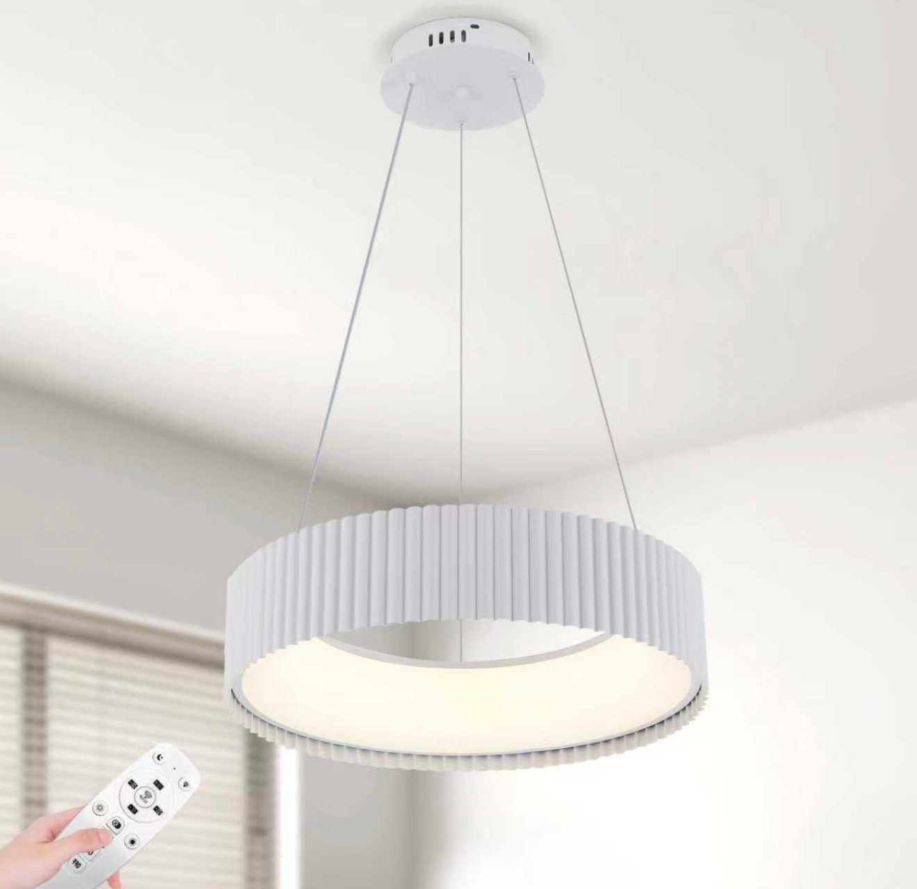 HANGING LIGHT view 2